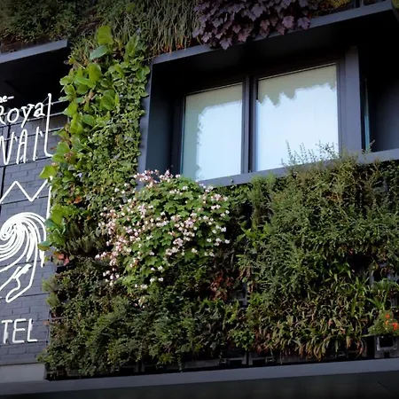 The Royal Snail Hotel 4*